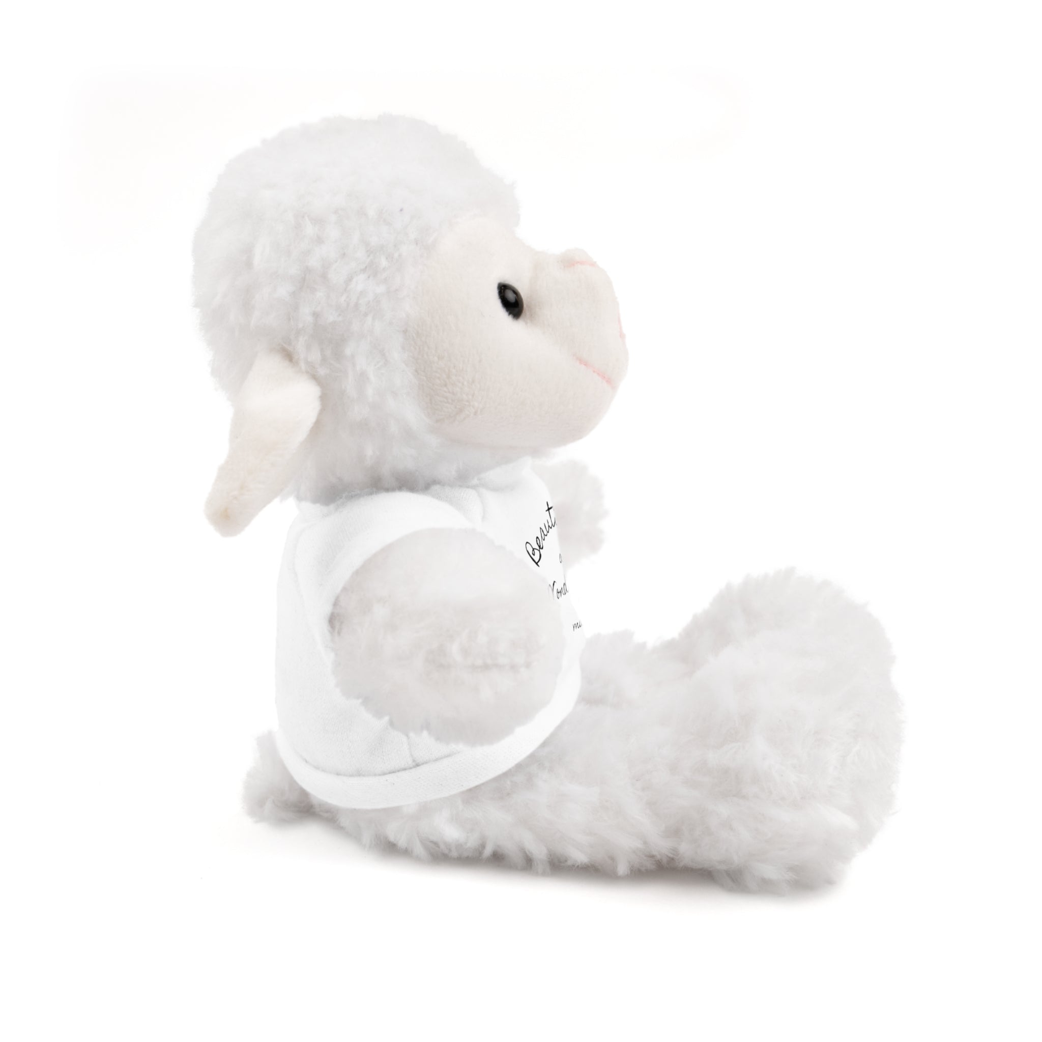 Custom Made Stuffed Animals