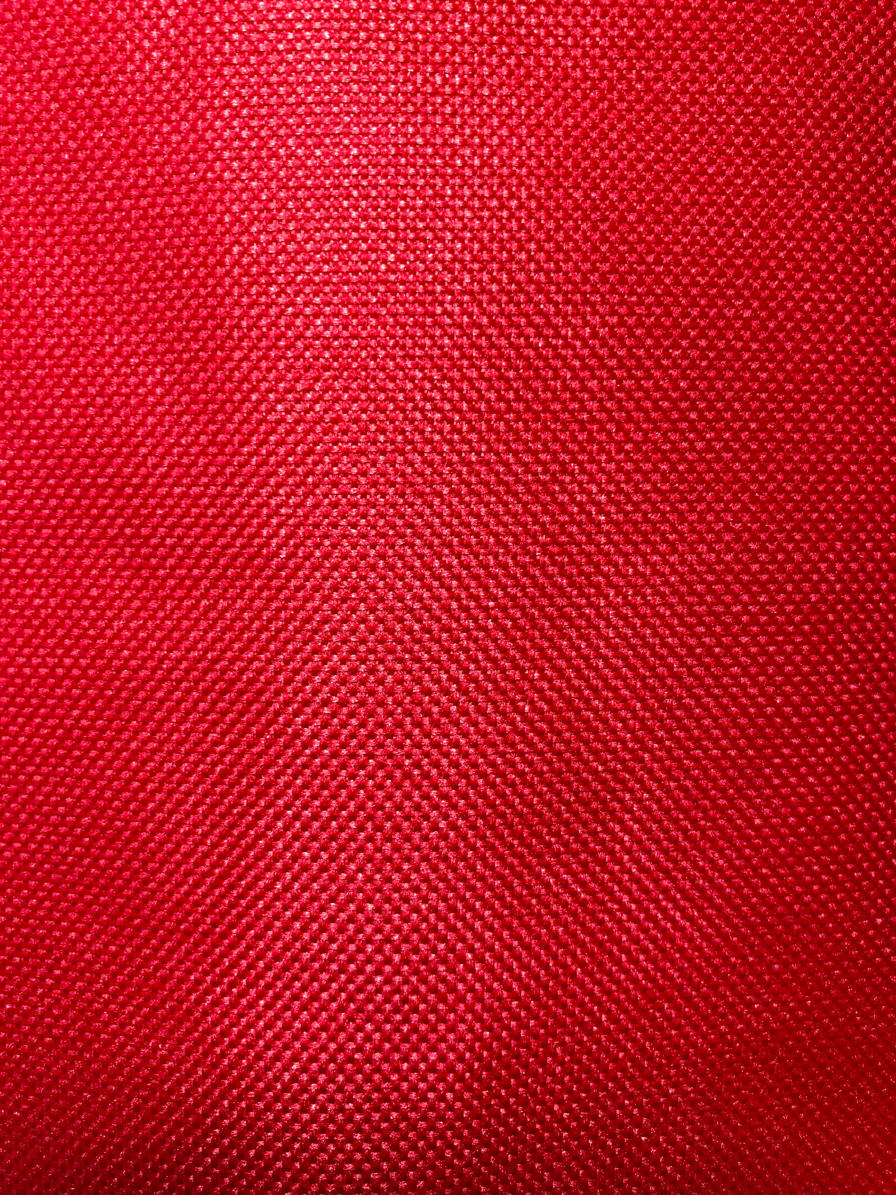 Epilepsy - Medical Alert Seat Belt Cover - Inside Pocket - Medical Info Sheet